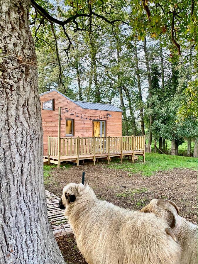 Вилла Jolie Tiny House Sous Les Grands Arbres Шоле Экстерьер фото