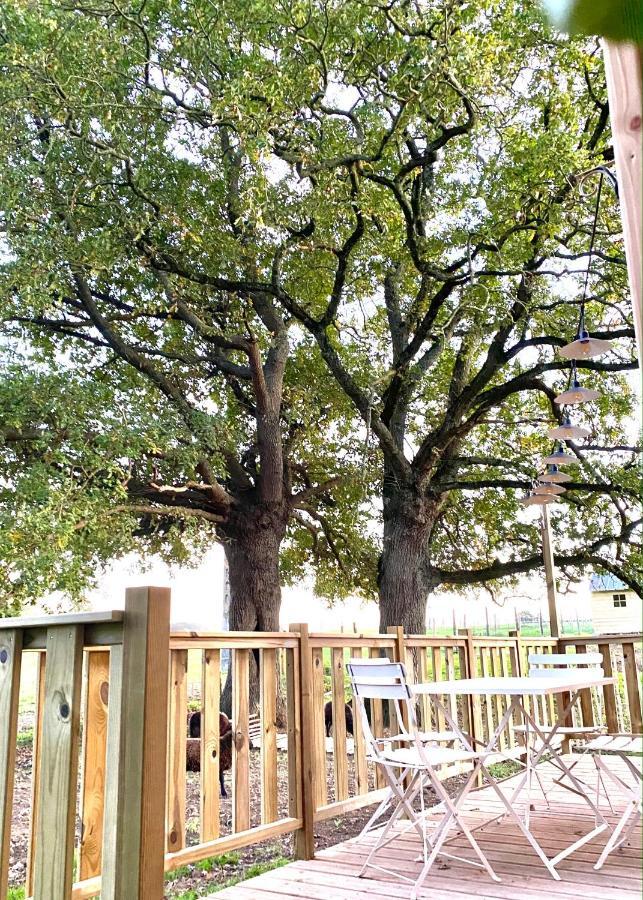Вилла Jolie Tiny House Sous Les Grands Arbres Шоле Экстерьер фото